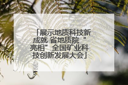 展示地质科技新成就 省地质院“亮相”全国矿业科技创新发展大会